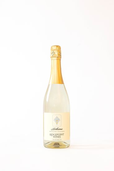 Picture of 2024 Bellissima